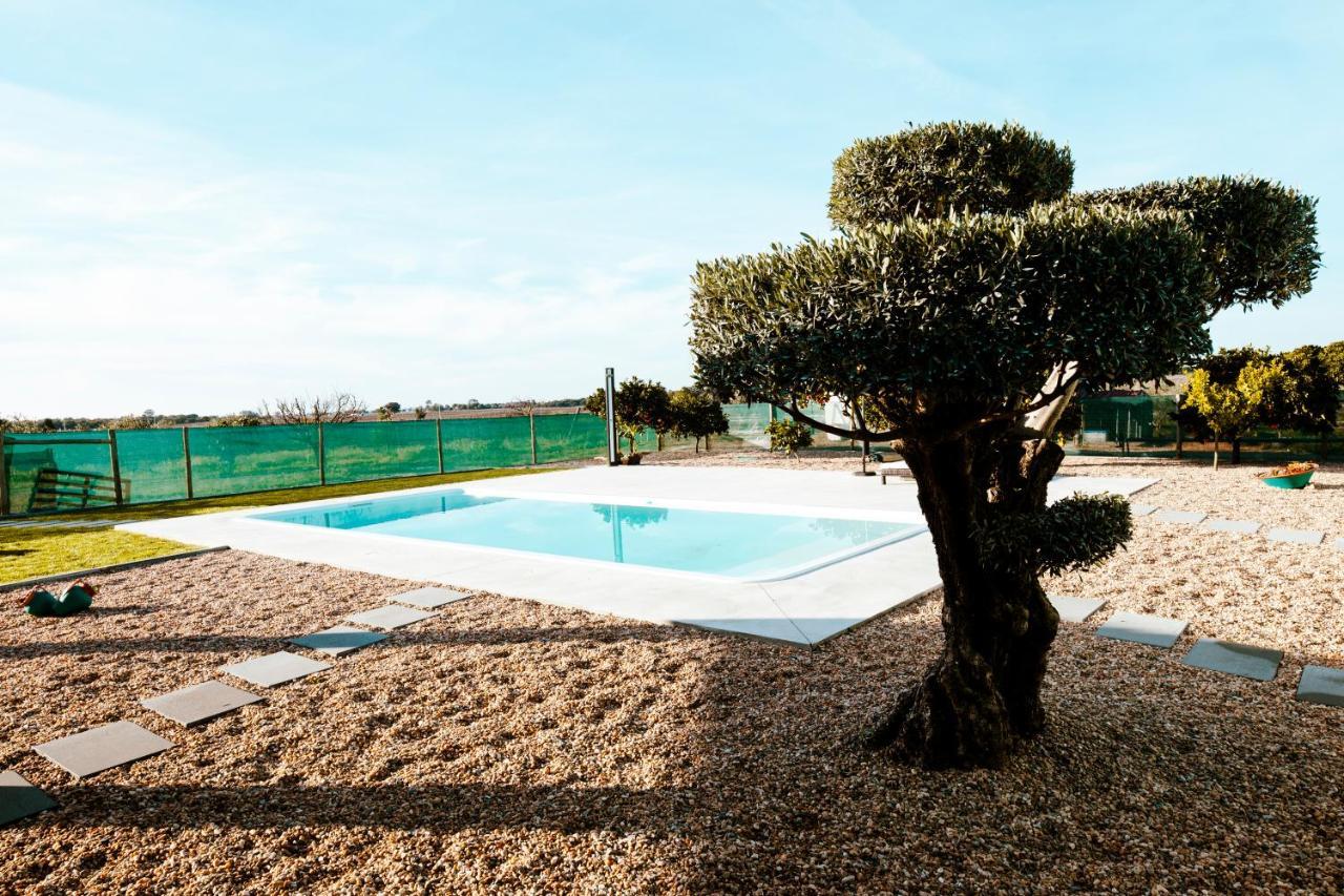 Delmira Vineyard House Villa Aguas de Moura Exterior photo